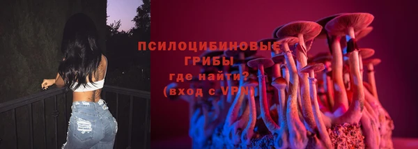 индика Абдулино