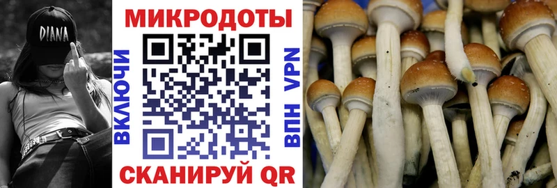 Галлюциногенные грибы ЛСД  Александров 